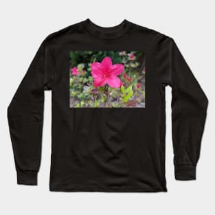 Pink Flower in Meadow 1 Long Sleeve T-Shirt